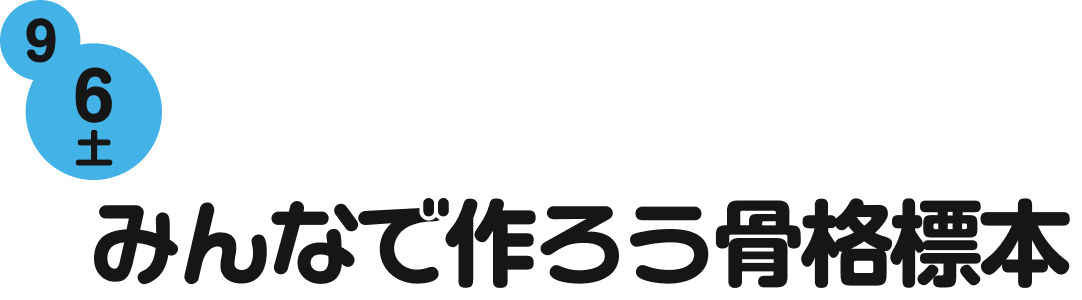 9月6日（土）みんなで作ろう骨格標本