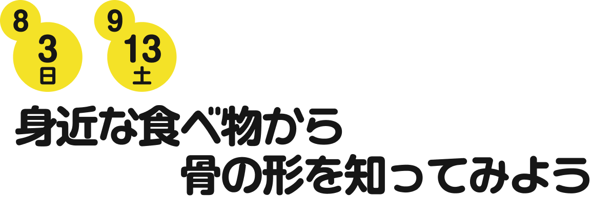 8月3日（日）9月13日（土）身近な食べ物から骨の形を知ってみよう