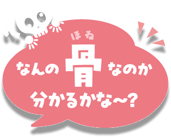 コメント「なんの骨かわかるかな？」
