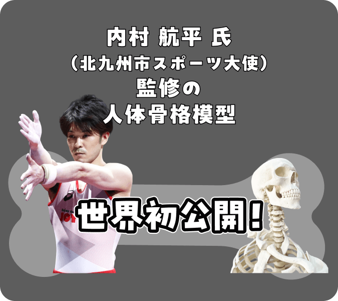 内村航平氏(北九州市スポーツ大使)監修の人体骨格模型 世界初公開!