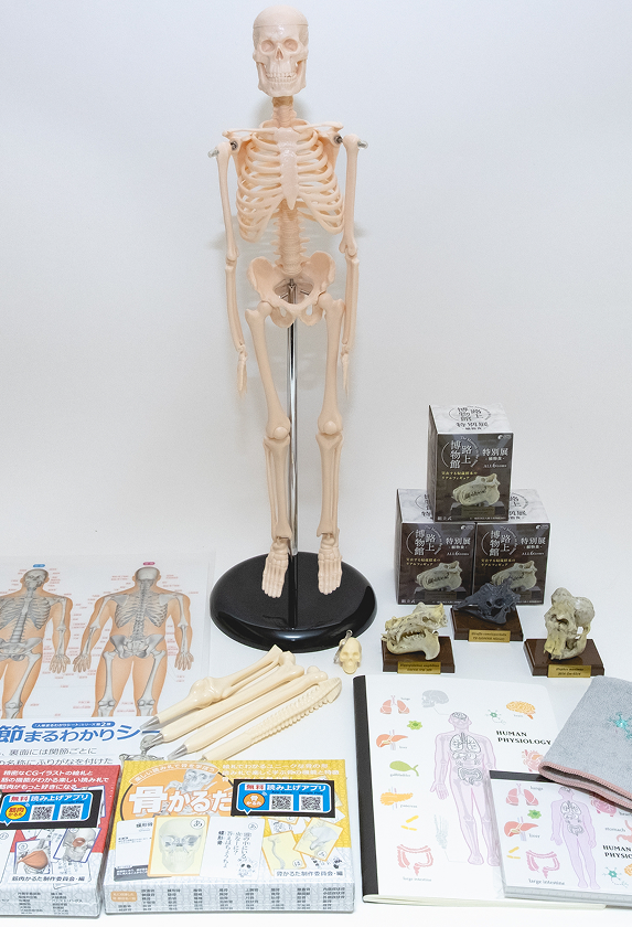 ほねほねグッズ