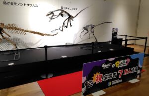 シリーズ7万人